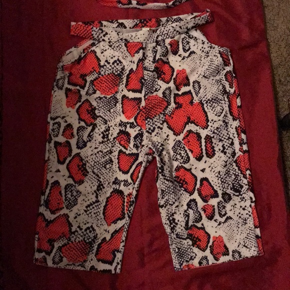 Snake Skin Set - Picture 4 of 6